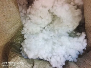 长期回收带硅的珍珠棉下脚料，珍珠棉开花料，开好的也可以，做填充用