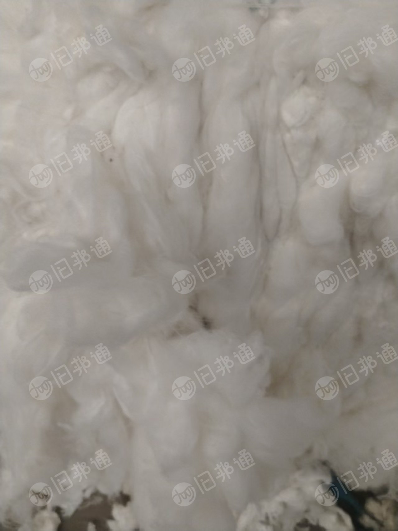 长期出售带弹力丝的风箱花,风箱花下脚料,纺腈纶,锦纶,pbt低弹丝下来的,现货十吨左右