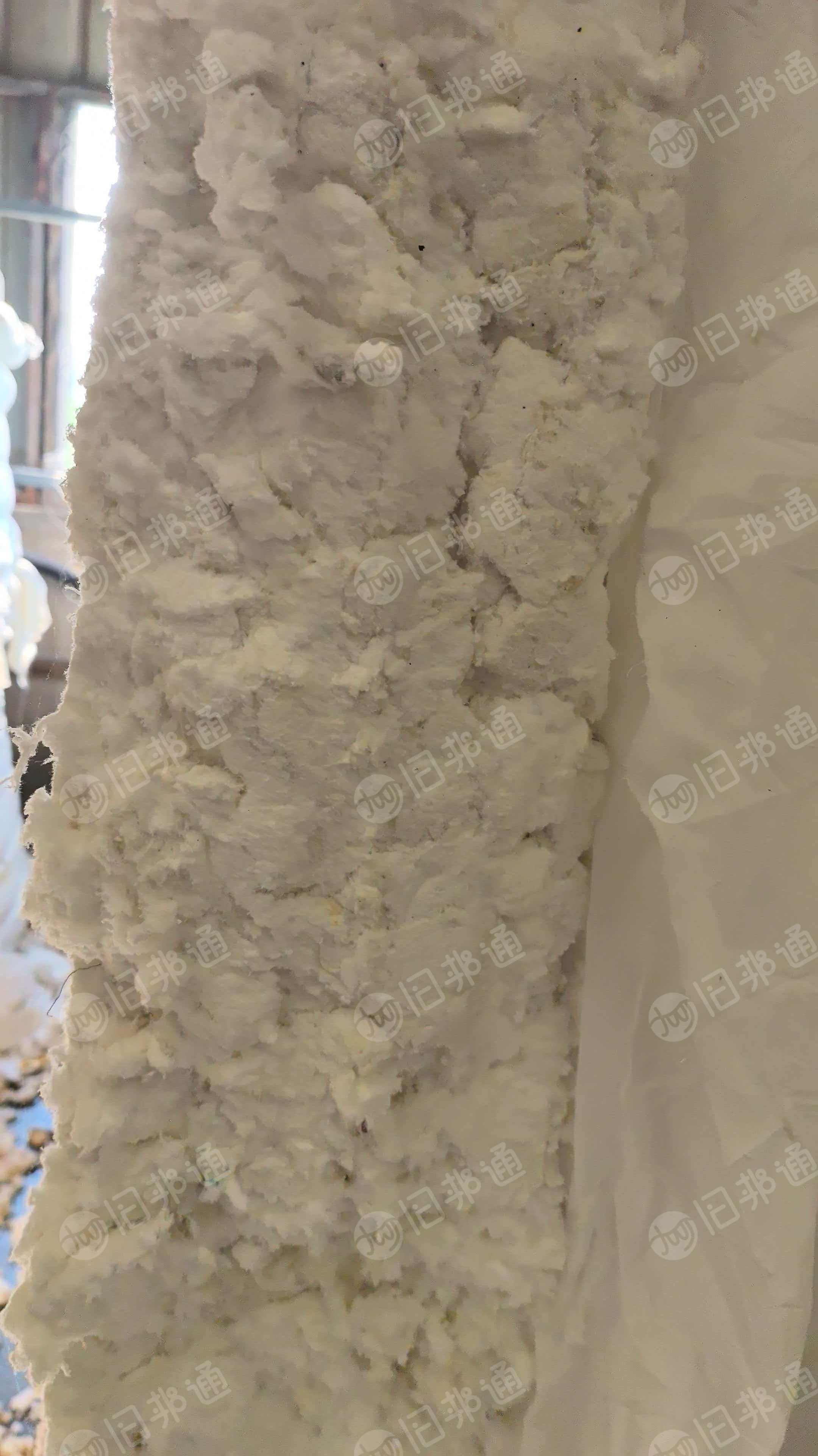 长期出售染厂下来的涤纶磨毛料，涤纶毛毛料，含水20-30左右，现货13米一车，货在江苏宿迁