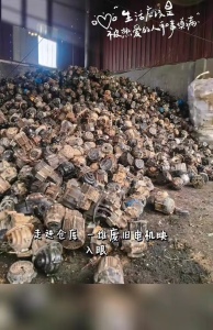 长期出售废旧电机