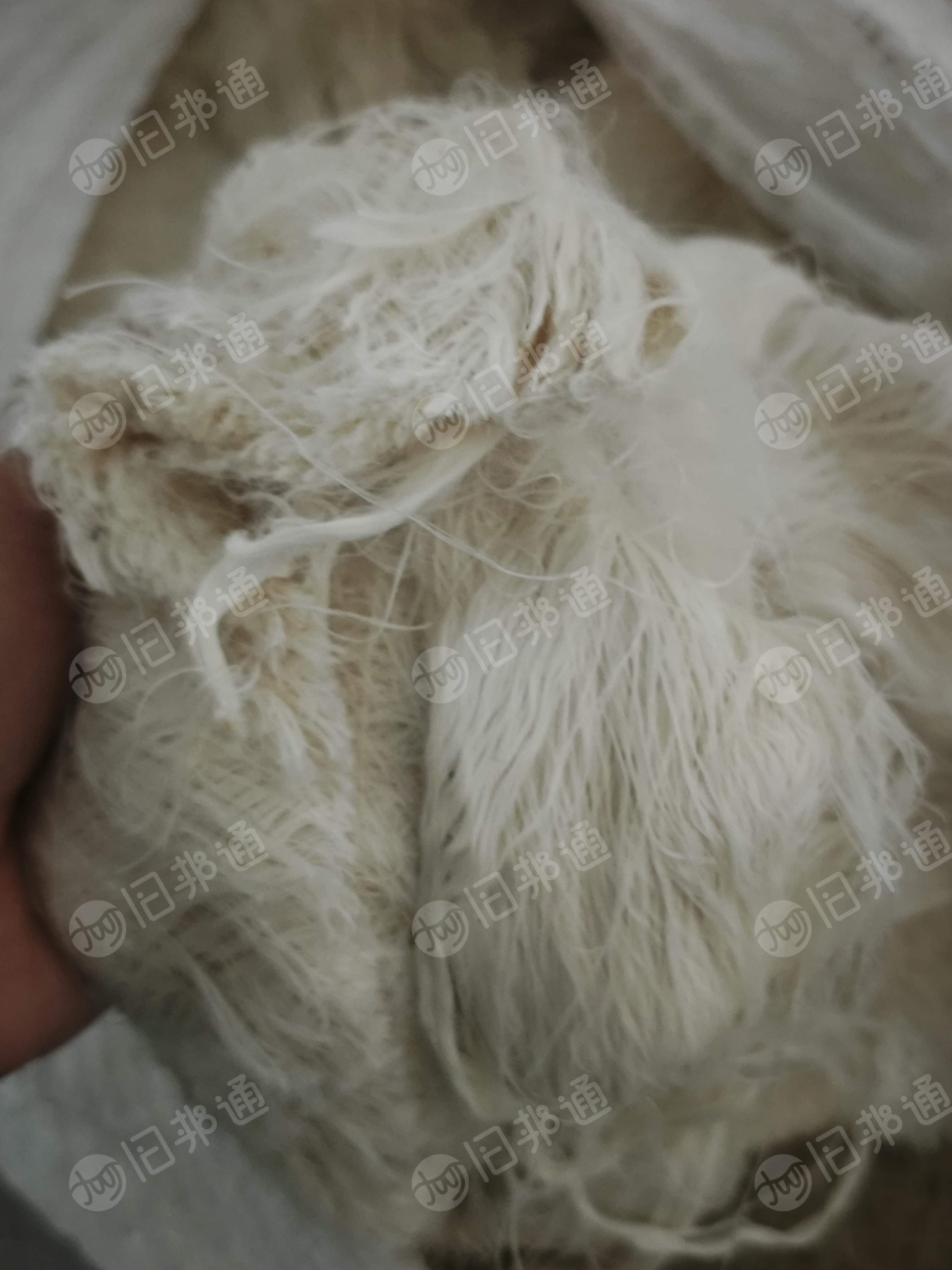 长期出售白色丙纶废丝,PP废丝,软丝跟硬丝一起卖,月供几十吨,货在浙江宁波