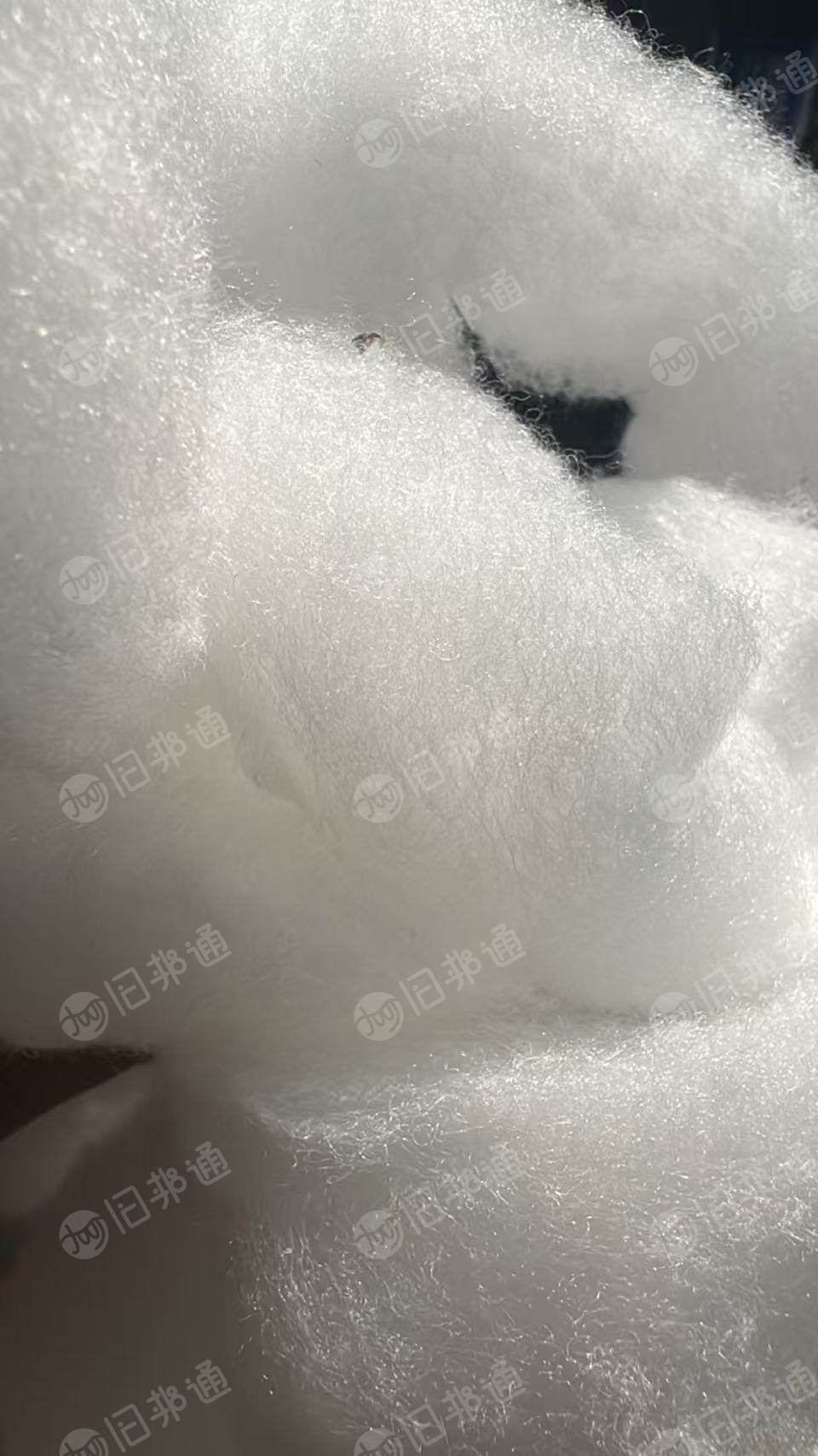 长期出售喷胶棉，喷胶棉边角料，丝棉边角料，货在河南安阳