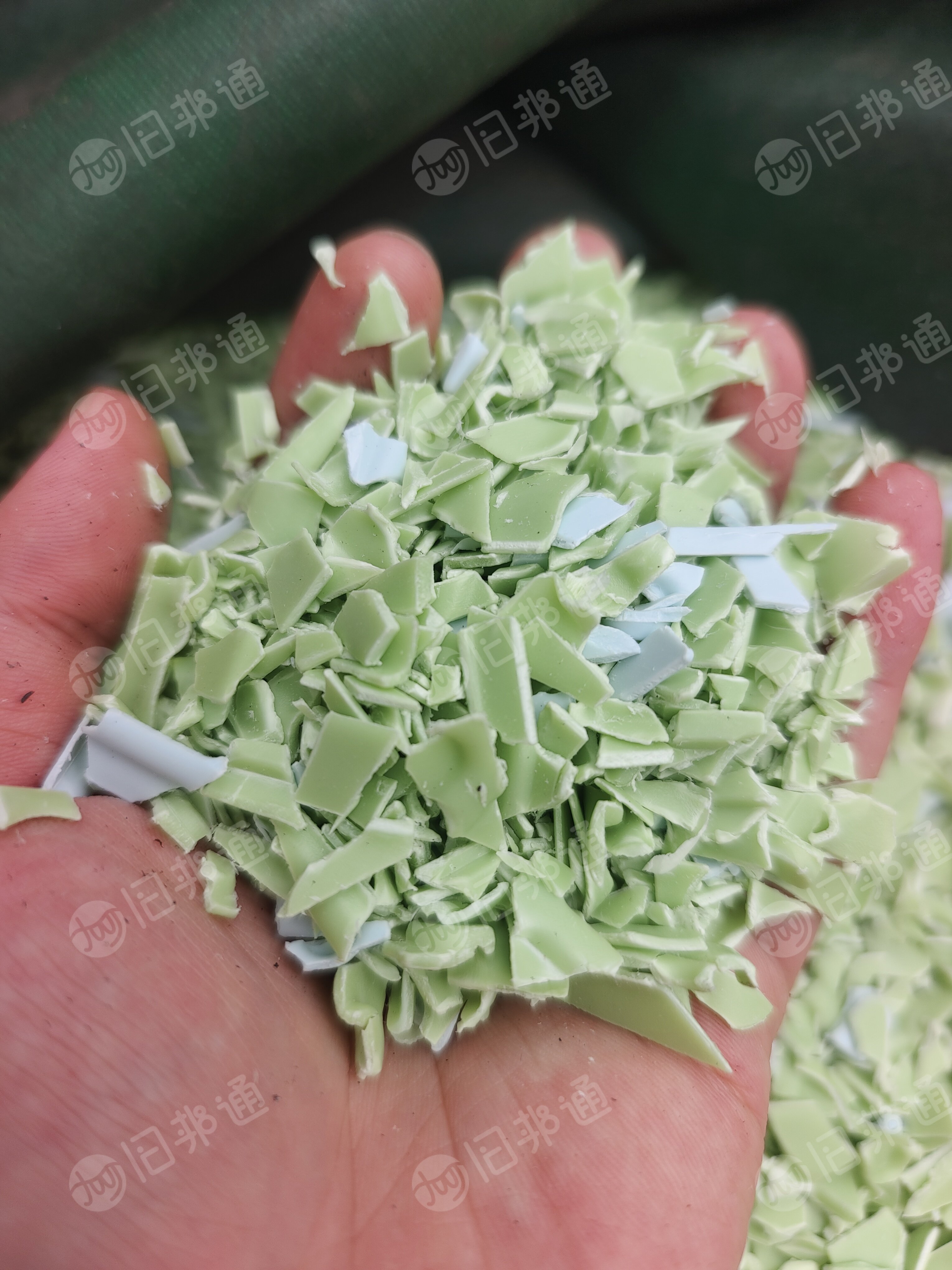 大量求购PP吸塑盒毛料、破碎料，颜色不限，拉片级