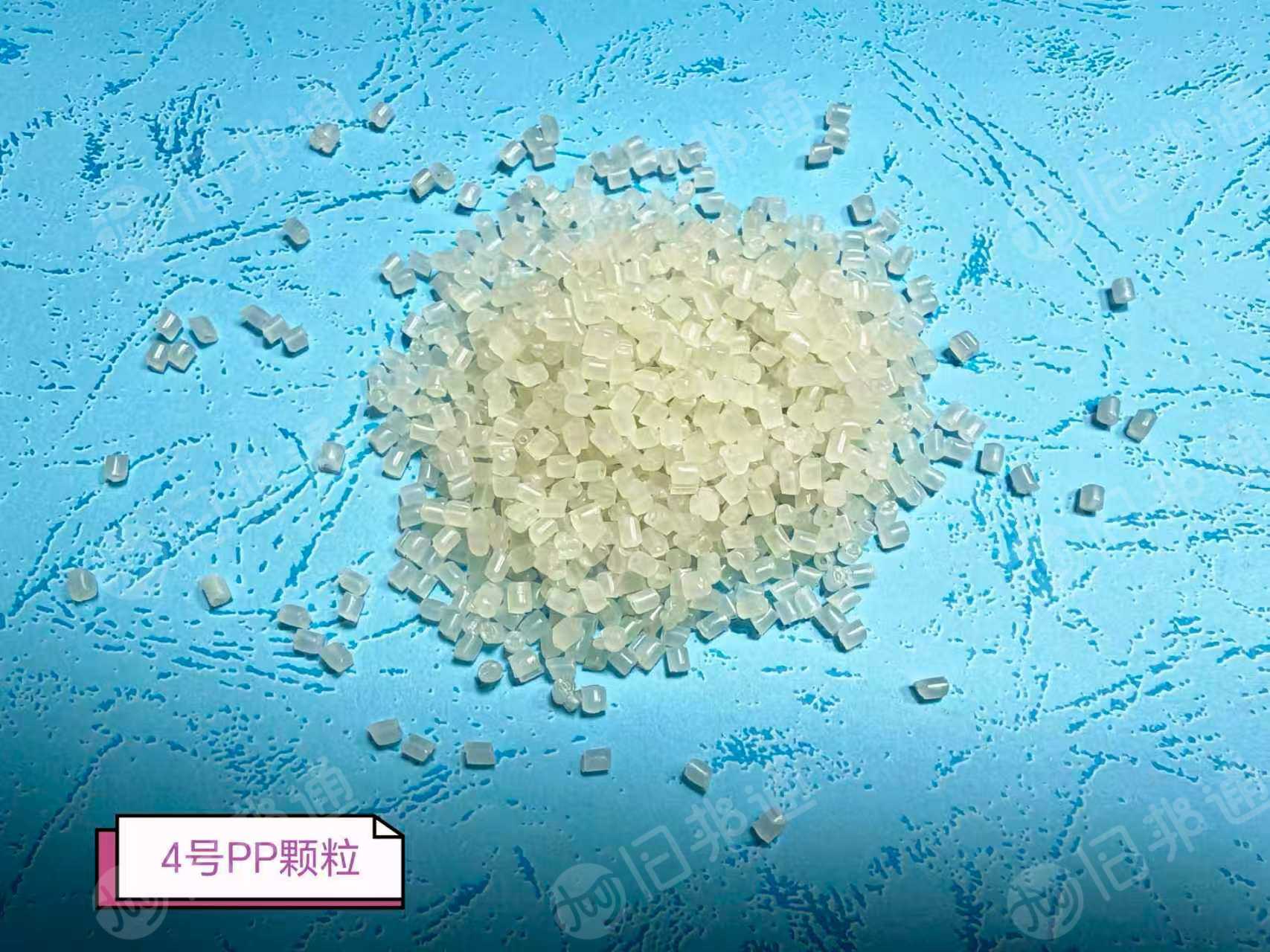 长期大量出售PP餐盒颗粒，过80到120目的都有