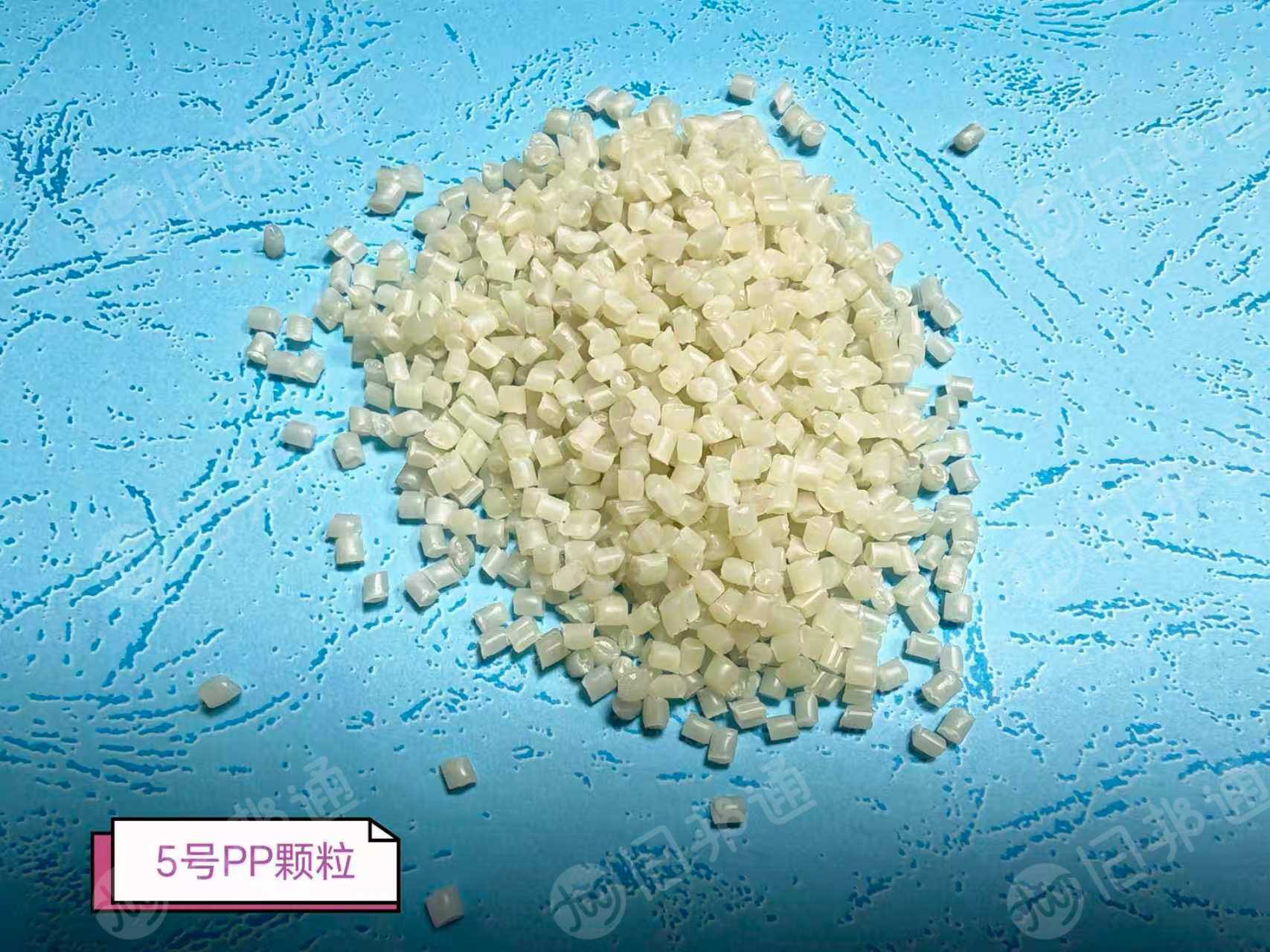 长期大量出售PP餐盒颗粒，过80到120目的都有