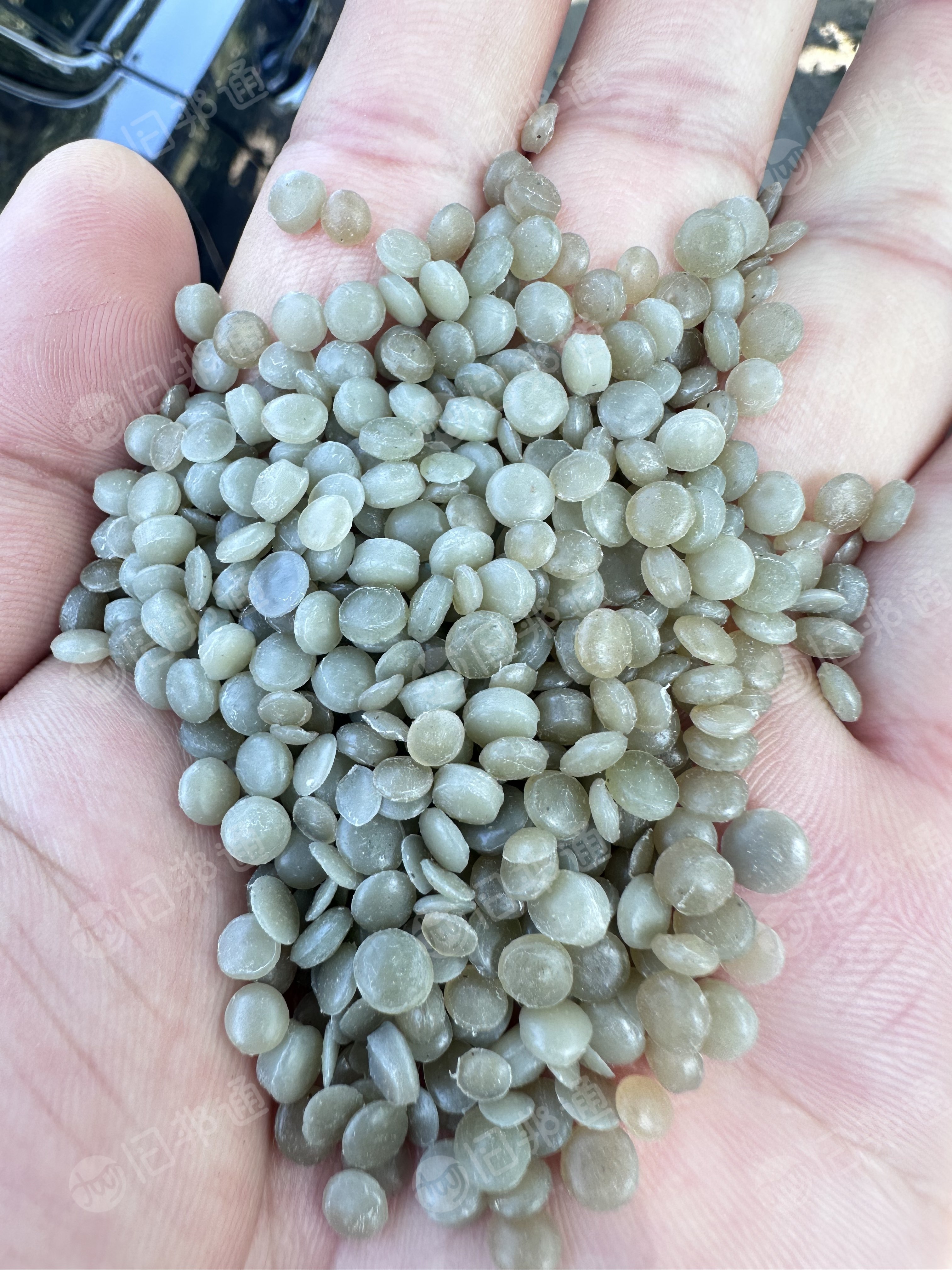 长期出售高压黏膜颗粒，现货有2个柜，货在山东青岛