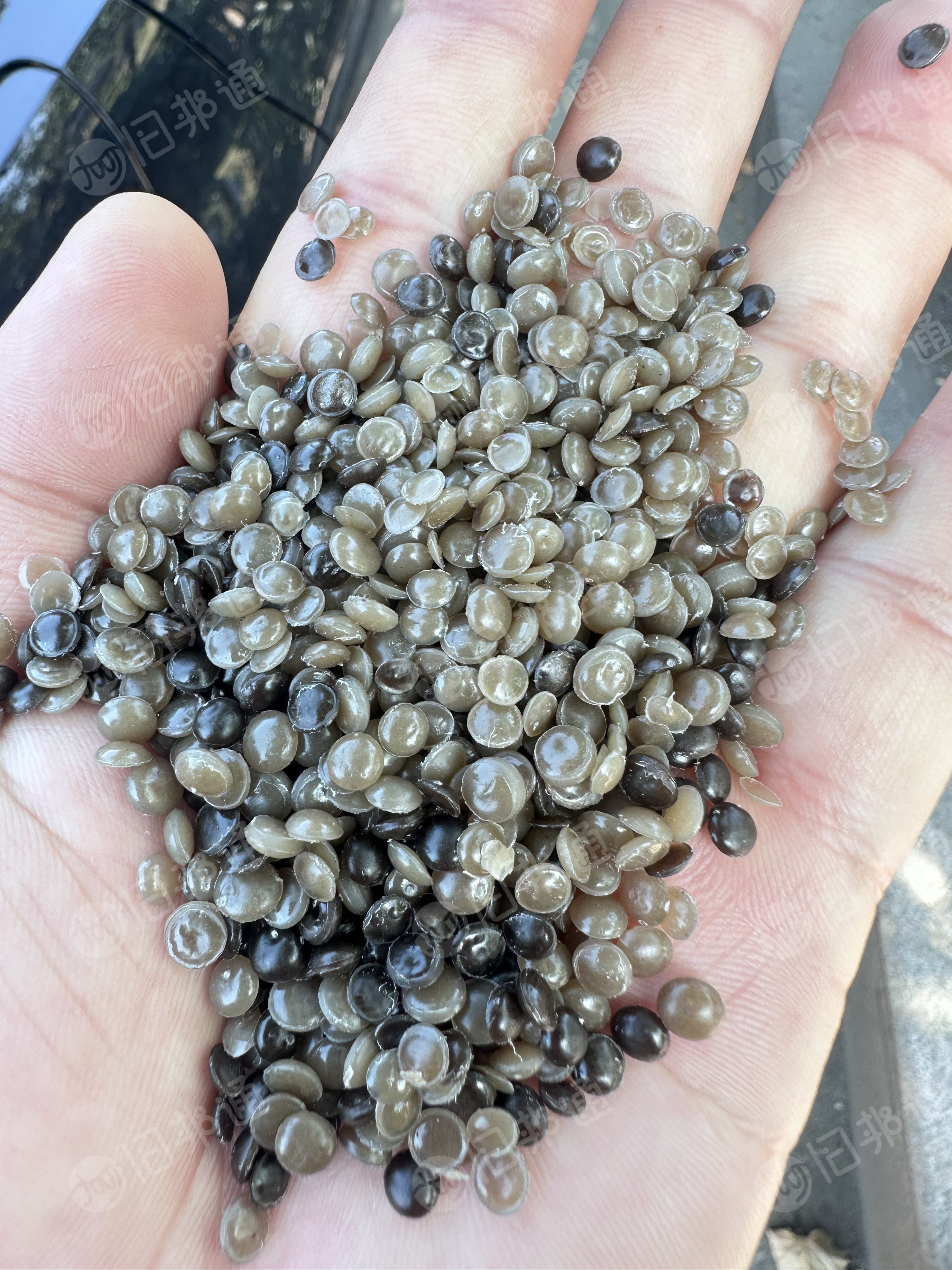 长期出售高压黏膜颗粒，现货有2个柜，货在山东青岛