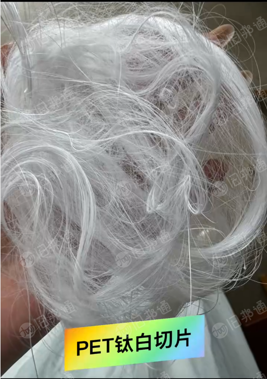 出售PET膜切片，PET大厂膜再生钛白切片，粘度0.6左右
