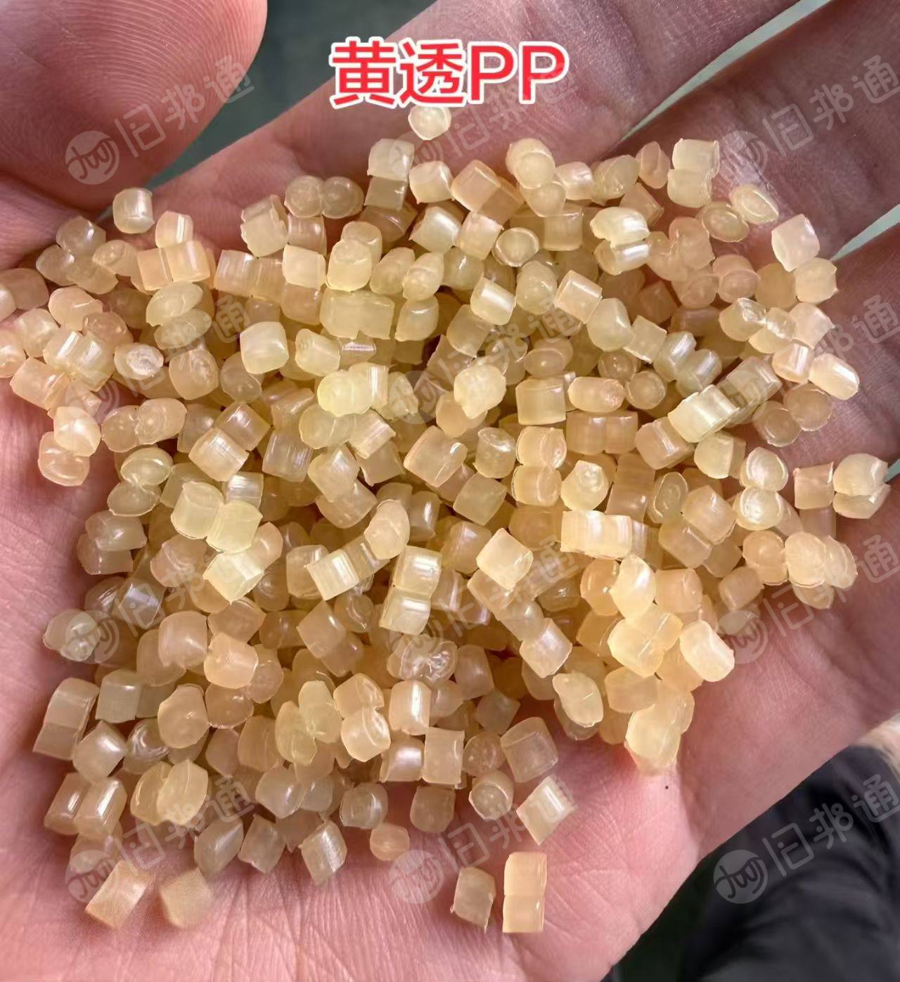 出售黄透PP膜颗粒，冲击11，溶脂22，拉伸强度20