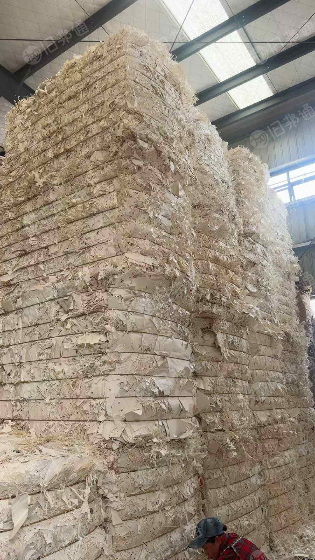 长期出售纯白口杯纸，二白口杯纸，小花口杯纸