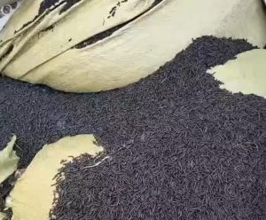 长期出售轮胎胎毛