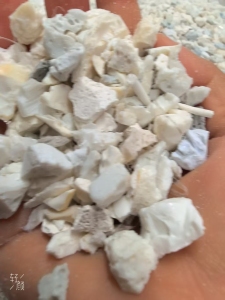 出售PET机头料，吹瓶⺁和片材厂混做的，现货两百多吨