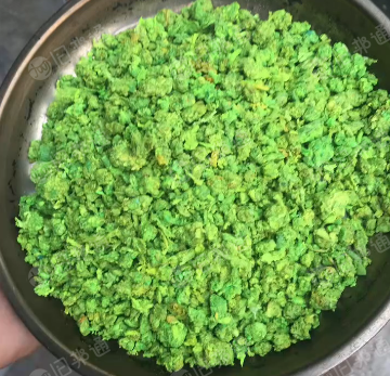 长期出售氨纶泡料，氨纶泡泡料，日产60-70吨，黑红绿蓝驼花白三色都有，在湖北天门