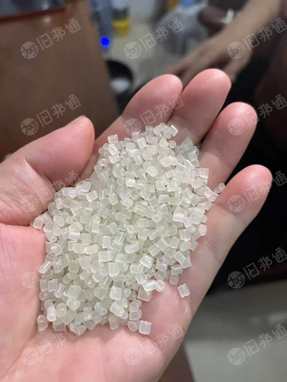 出售PP颗粒，过100目，每个月800吨