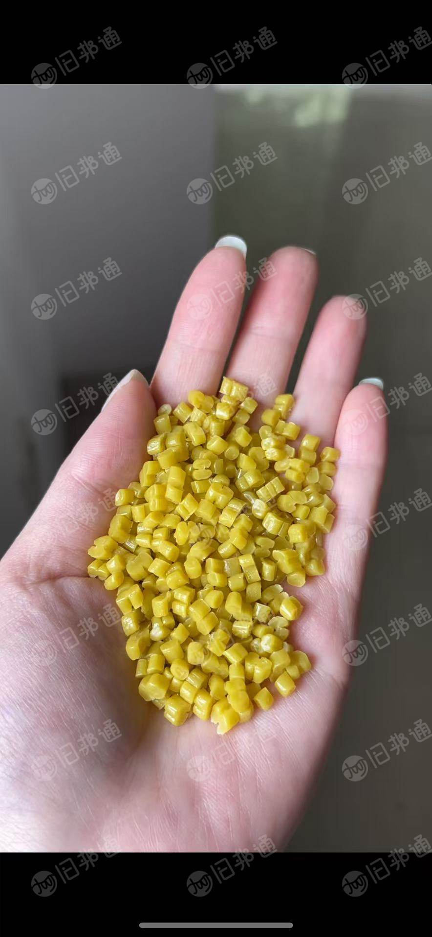 出售PP颗粒，过100目，每个月800吨