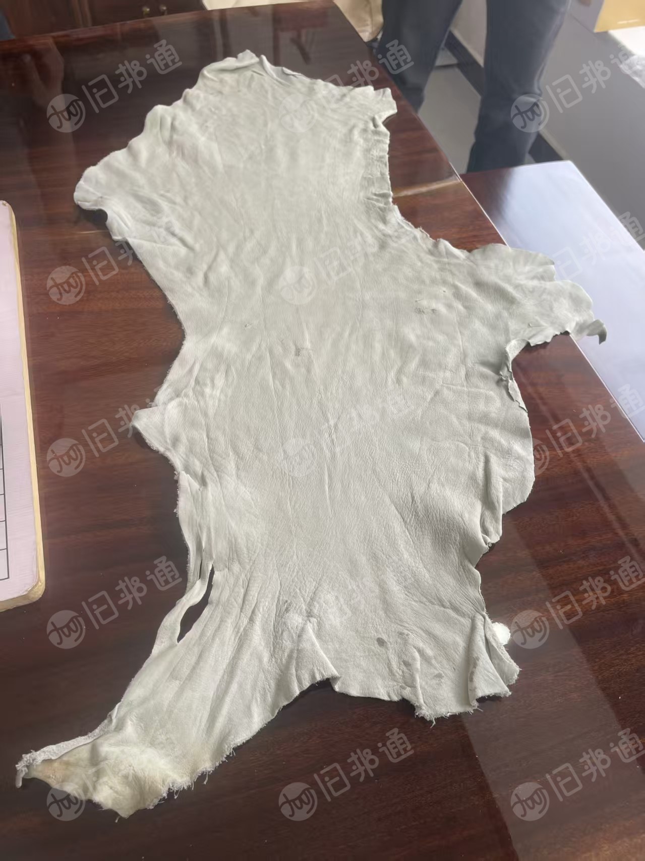 长期出售做劳保手套下来的头层牛皮，牛皮大块布，现货9.6米一车，货在河北石家庄