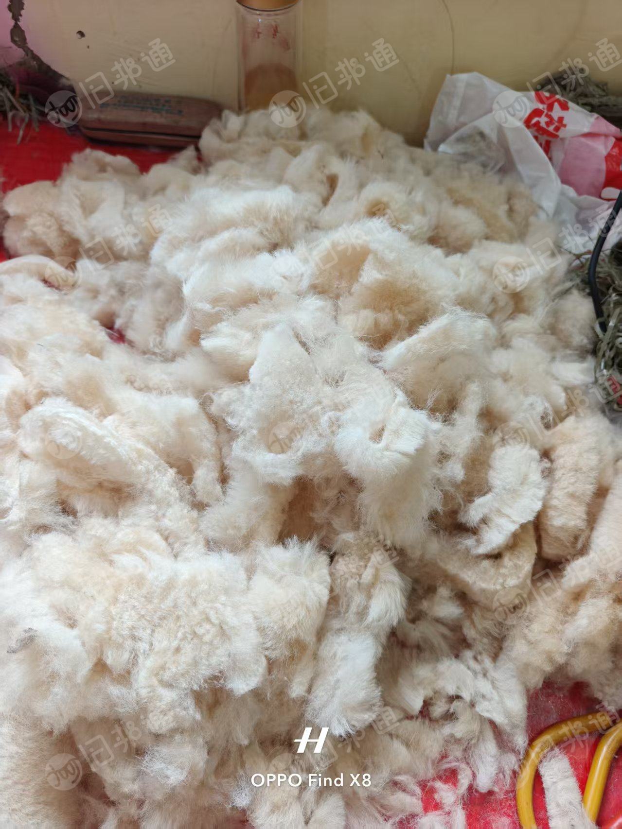 长期出售羊毛边角料，做雪地靴下来的，米色黑色最多，可以开毛用，现货8吨左右，货在河南周口