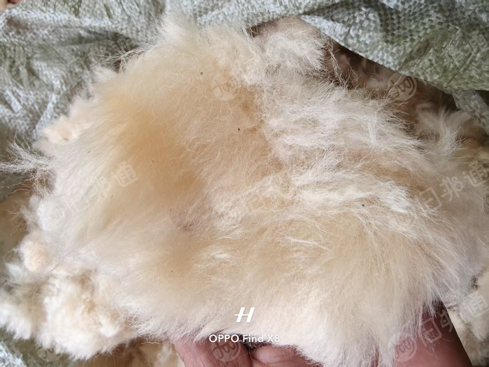 长期出售羊毛边角料，做雪地靴下来的，米色黑色最多，可以开毛用，现货8吨左右，货在河南周口