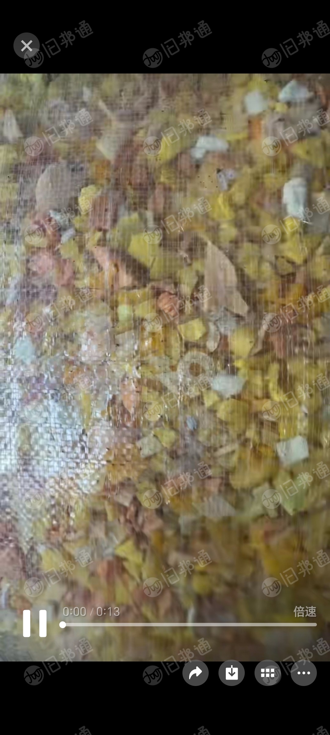 出售PVC搪胶玩具破碎料,现货40吨左右