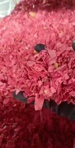 长期出售纯红路障破碎料，甩干过风选的，几乎没水分，现货八九吨