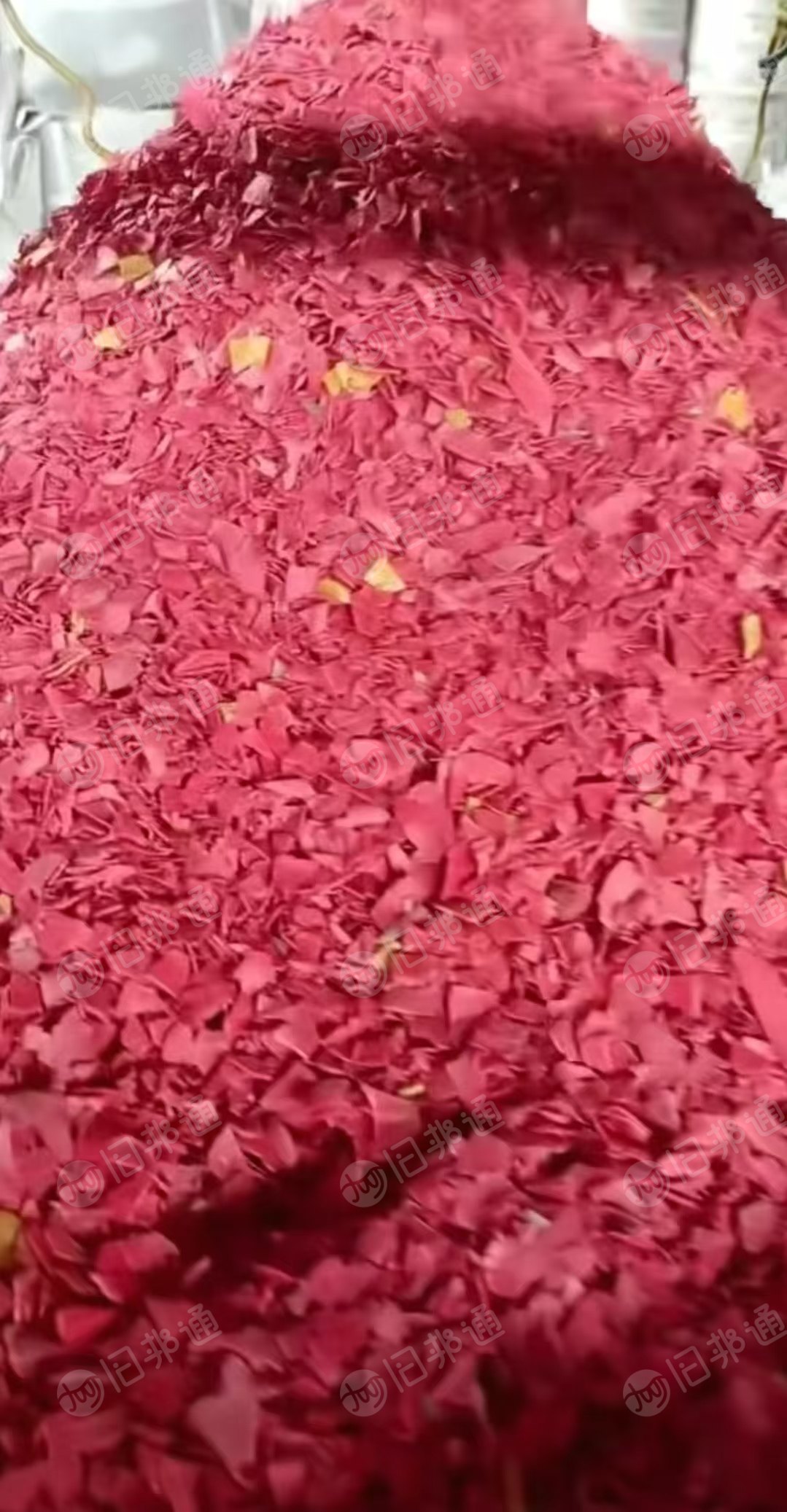 长期出售纯红路障破碎料，甩干过风选的，几乎没水分，现货八九吨