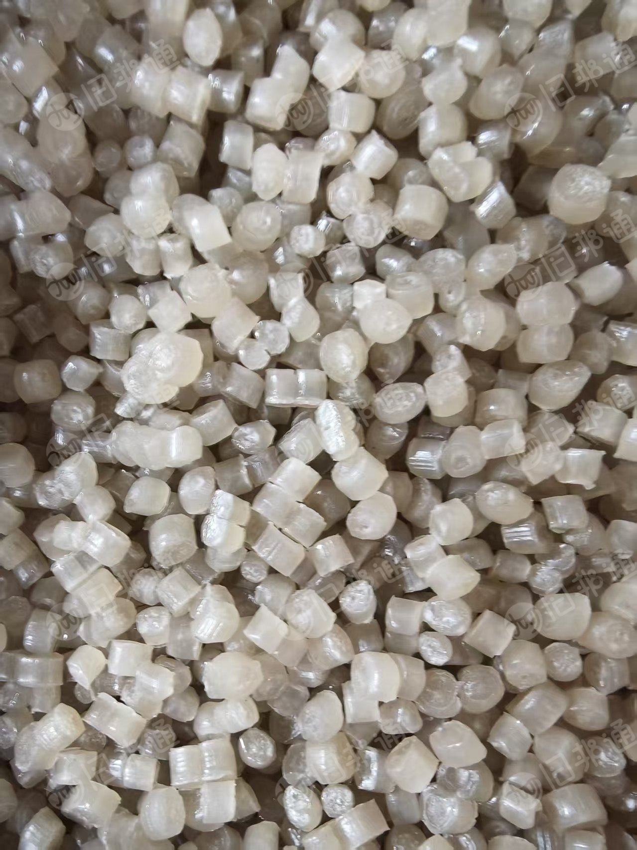 长期出售丙膜颗粒，pp服装膜颗粒，过100目