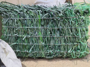 出售PET打包带废料，现货10吨左右，纯厂货