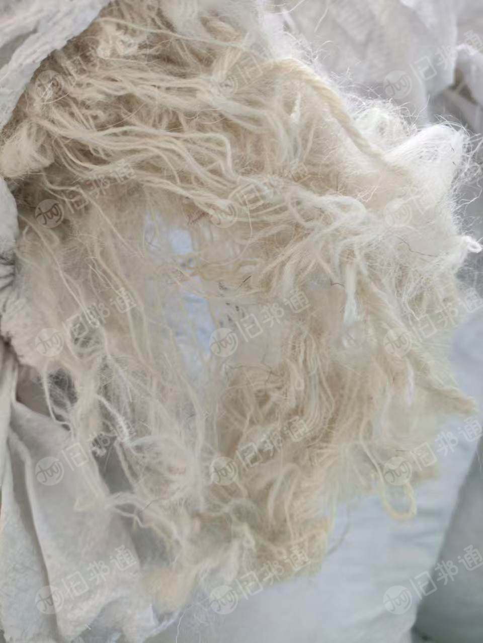 长期出售新西兰羊毛硬丝,白色的,细度比较粗,都是纯羊毛,可以开毛用,货在河北保定