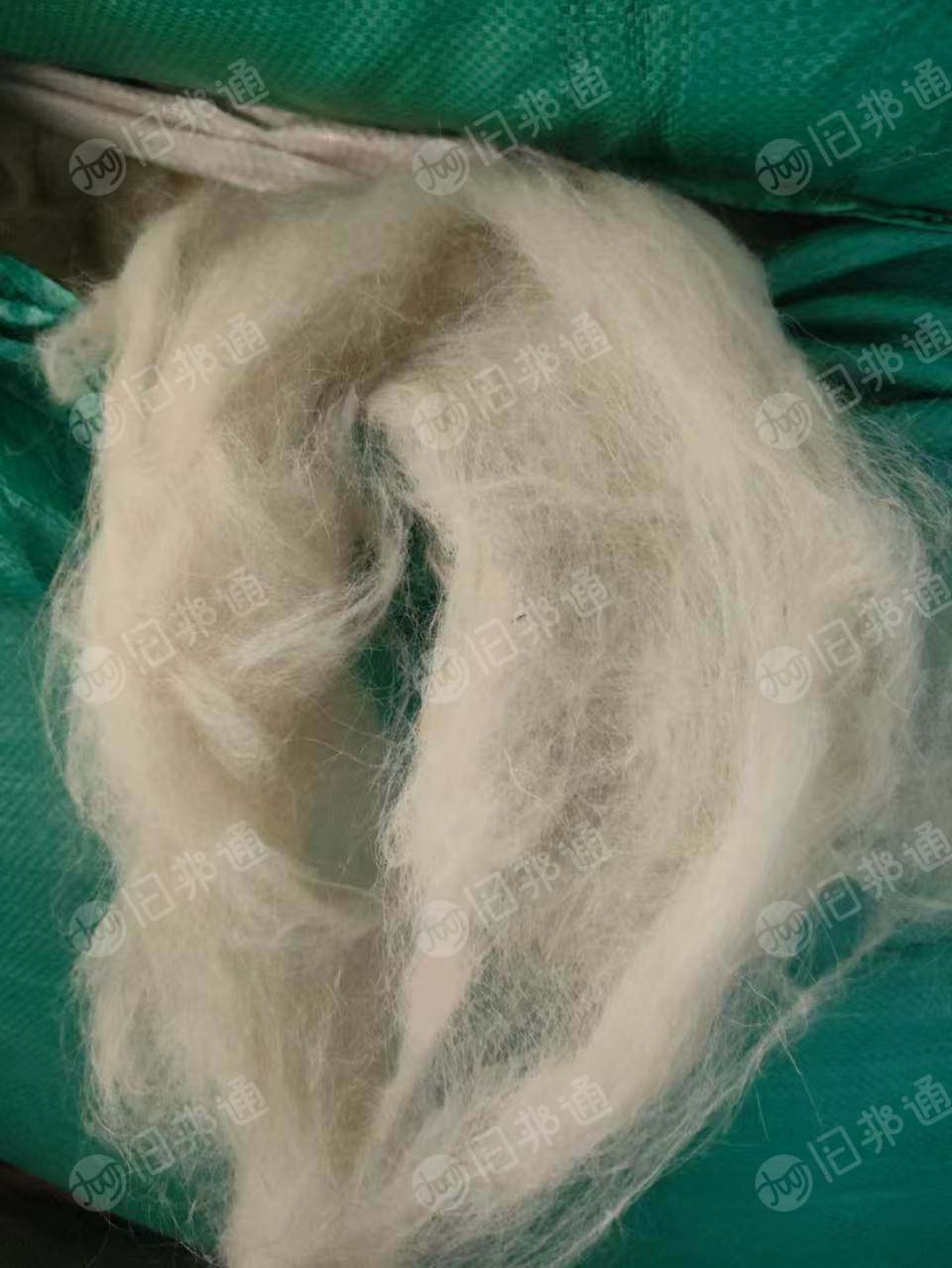长期出售新西兰羊毛硬丝,白色的,细度比较粗,都是纯羊毛,可以开毛用,货在河北保定