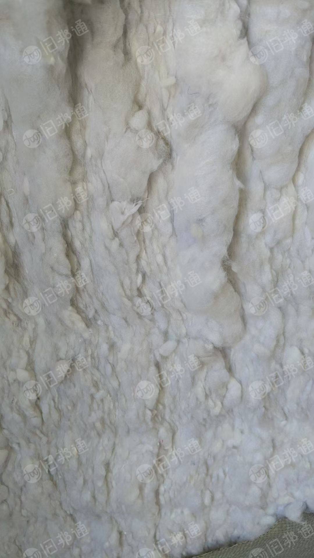 长期出售开好的枕芯棉，化纤棉，开松棉，月供一百吨，在河南商丘