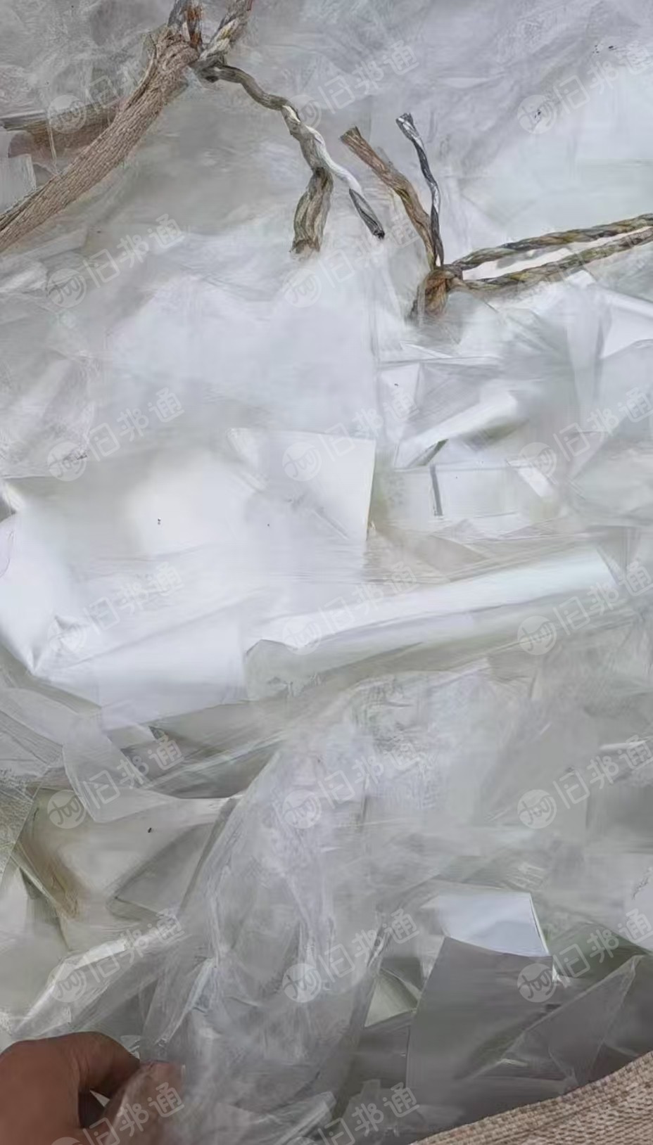 长期出售透明纯pp膜废料
