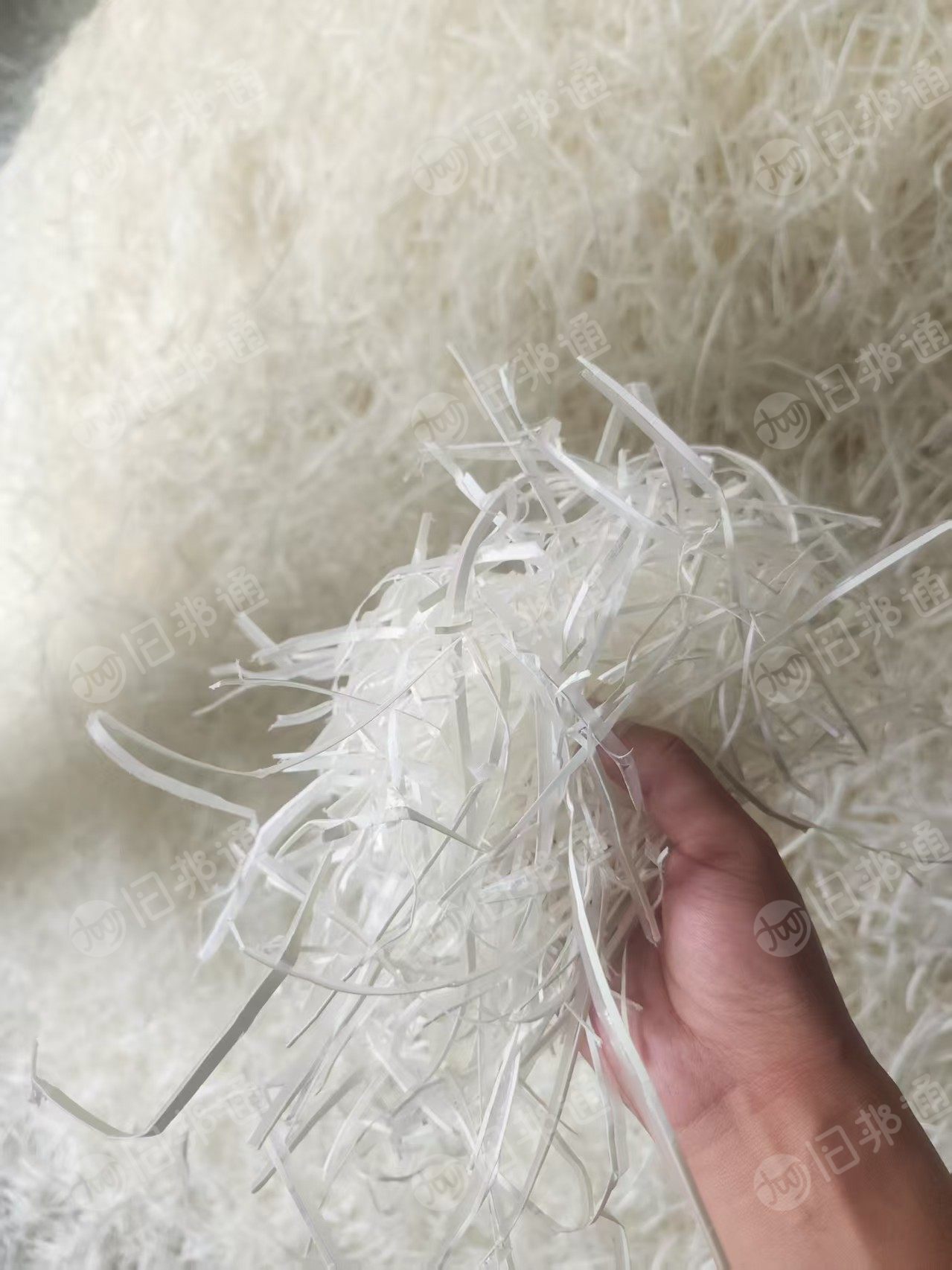 长期出售纯白口杯纸膜边条