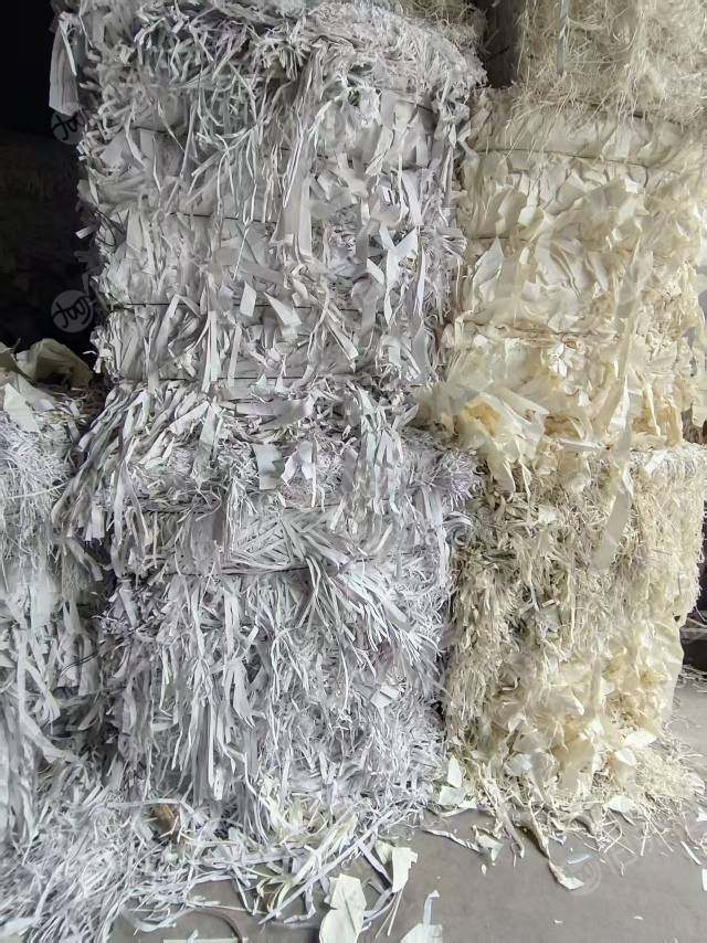 出售原白和高白的双胶纸