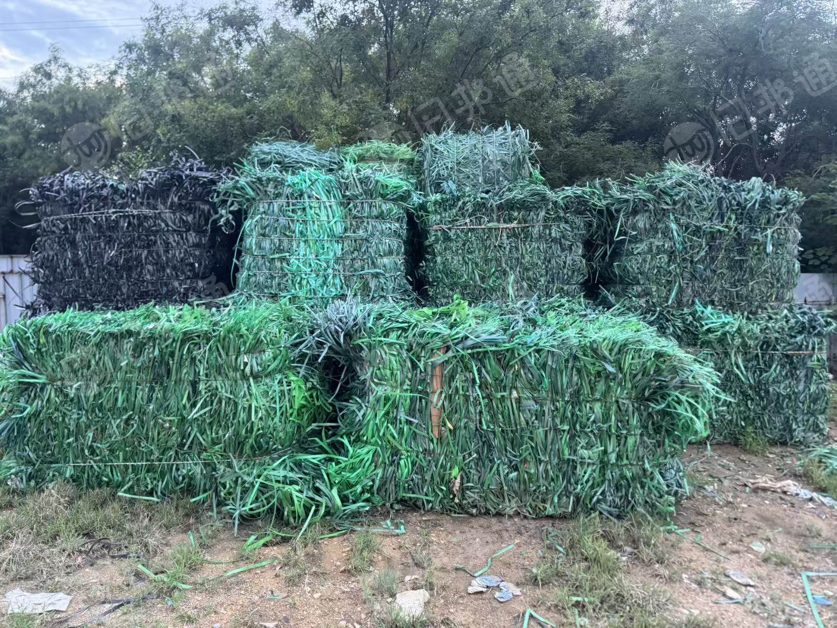 长期出售PET打包带，黑色绿色有分开，现货一挂车