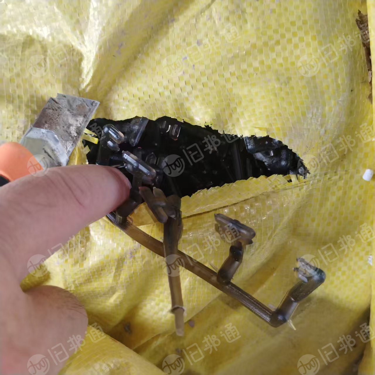 长期出售PVC废料，有枝条和破碎有干净的，也有胶头和部分水口枝条混了TPE和pp料