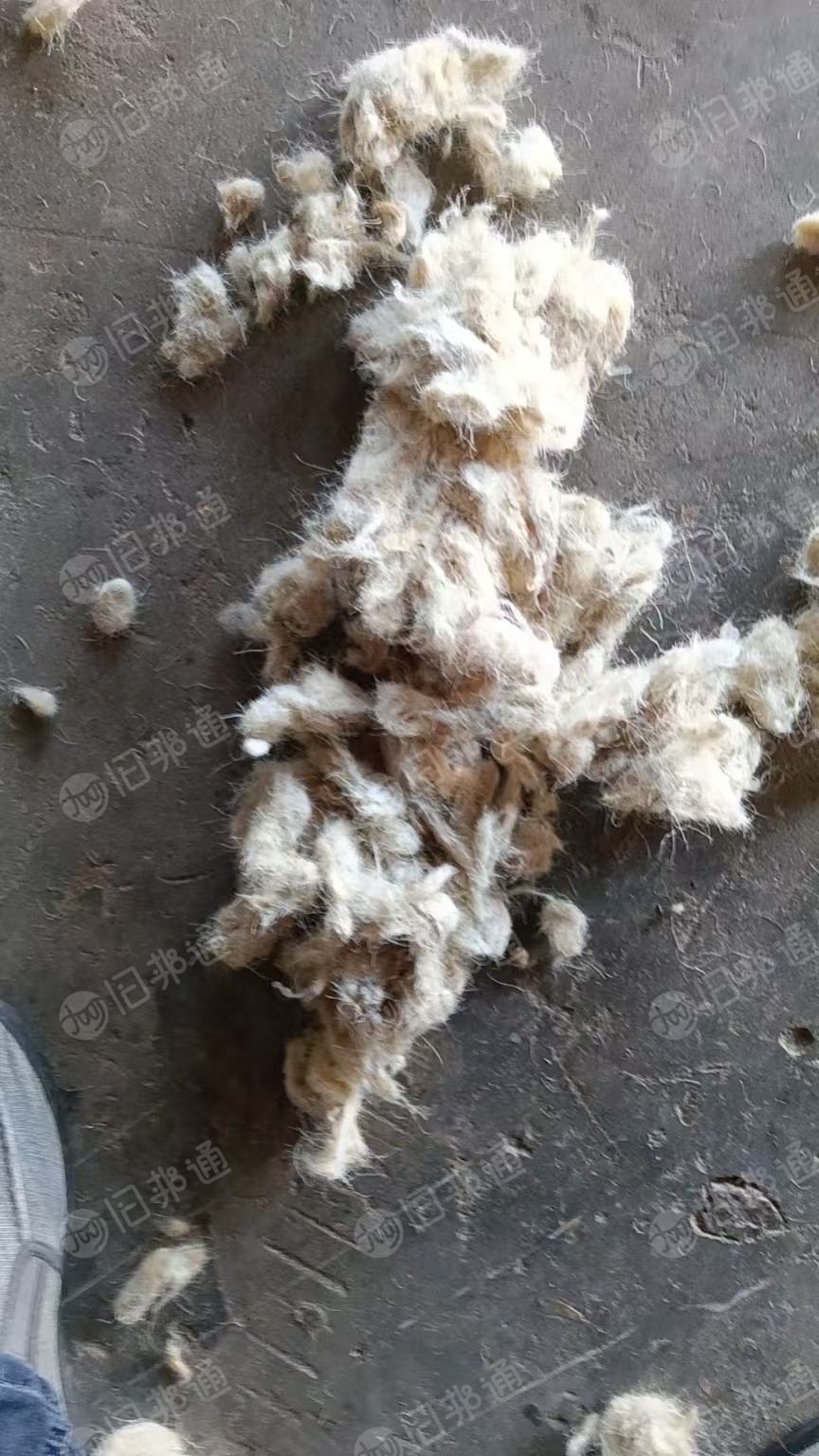 长期出售剪毛下来的纯羊毛，羊毛原毛原料，白色米黄色黑色都有，洗过的，长度2公分，细度20.5