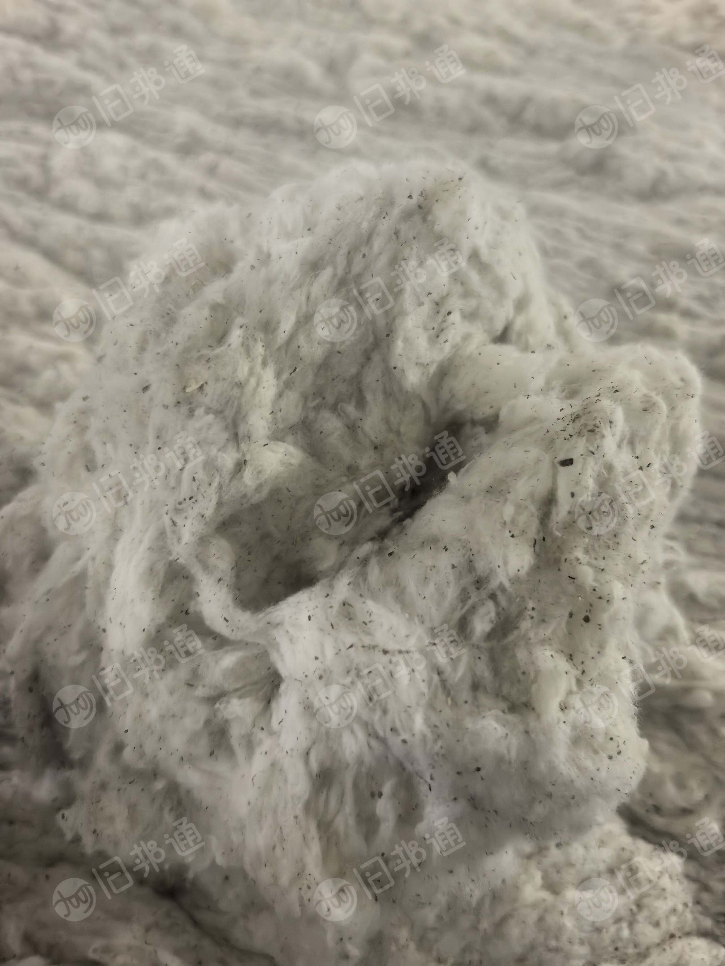 长期出售环锭纺下来的梳棉车肚,纯棉车肚