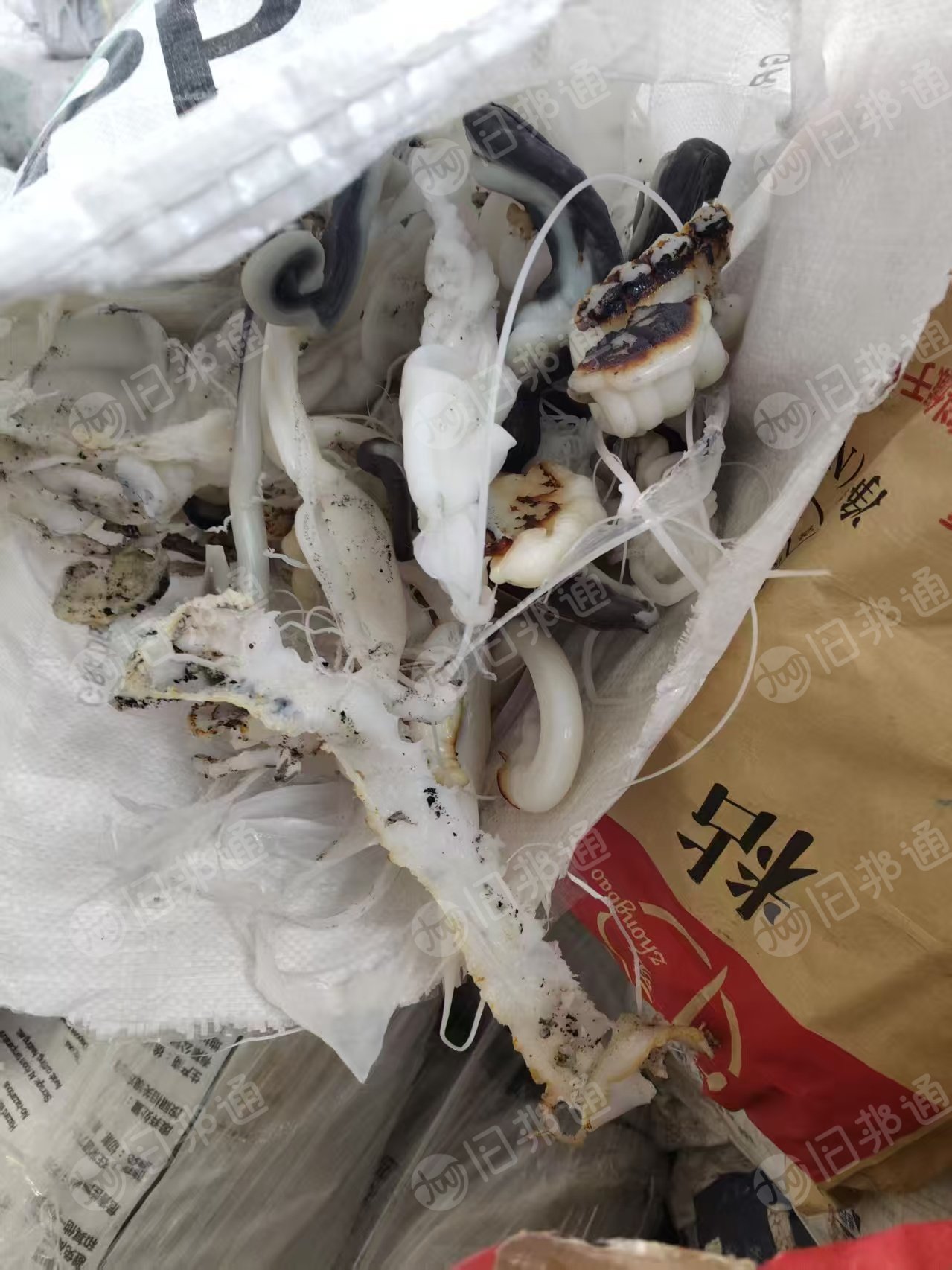 出售PPR HDPE 机头料落地料 ,现货二十吨左右