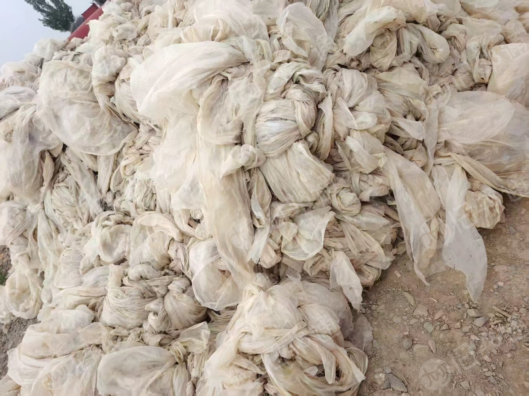 出售地膜废料，现货十几吨