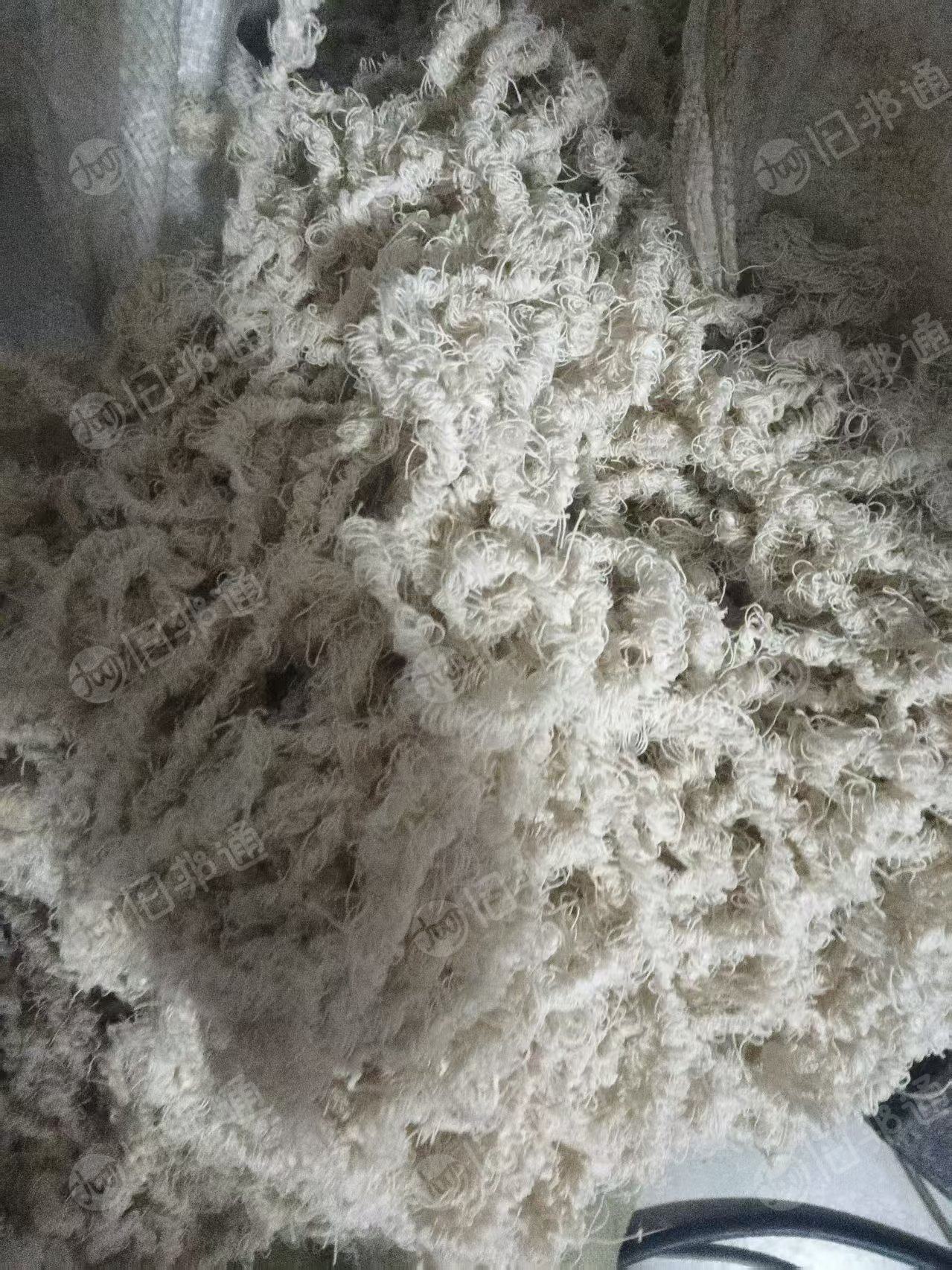 长期出售涤纶水丝，涤纶干丝，涤棉废纱等，都有分拣好，现货有20吨，货在河北石家庄