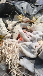 出售tpe机头料，tpe颗粒，水漂