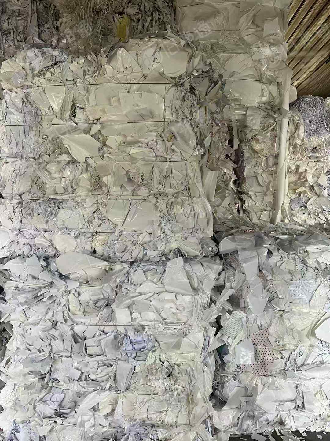 长期出售白色淋膜纸，黄白淋膜纸