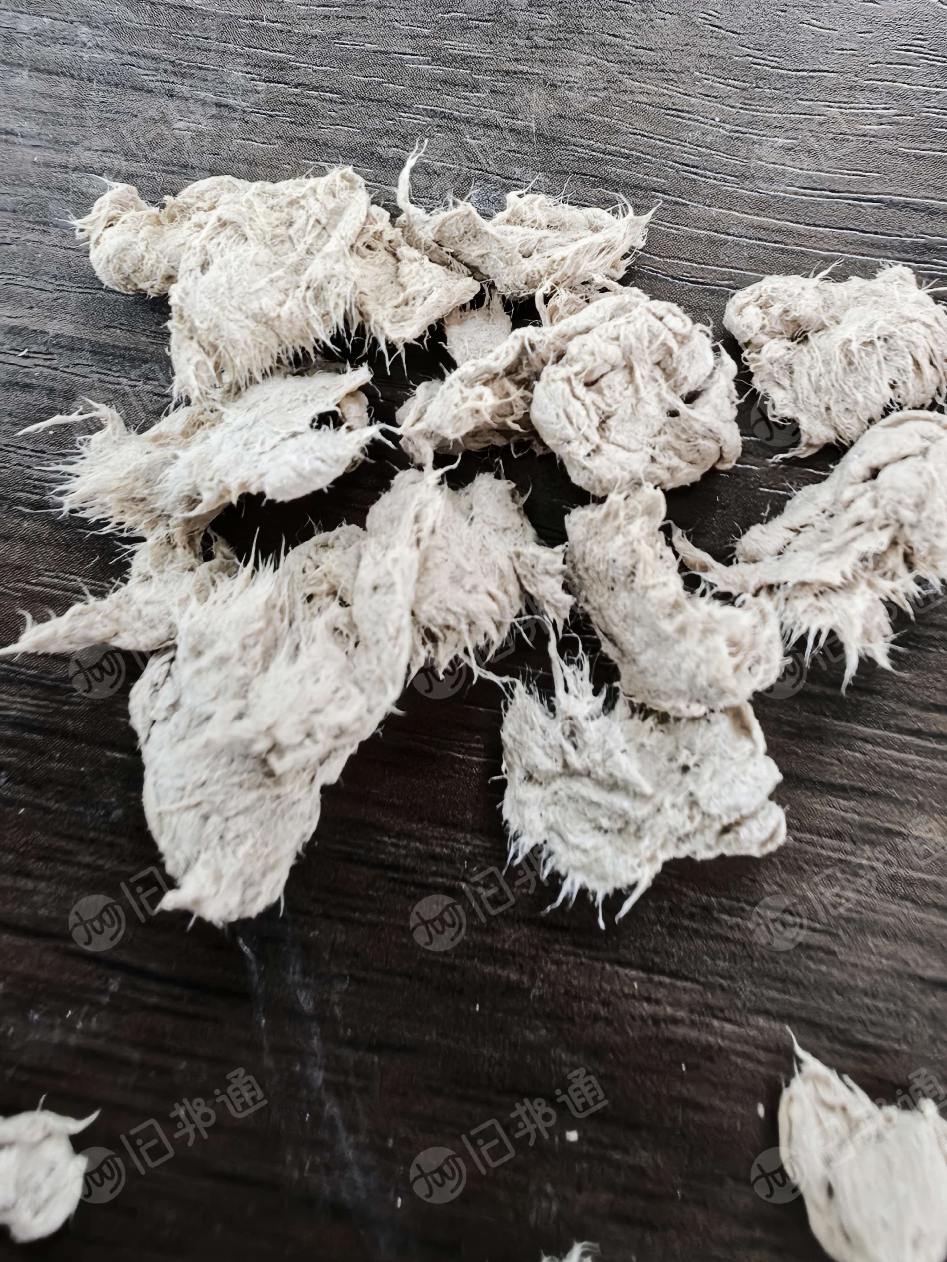 长期出售牛皮纸浆，水分58%左右，用纯纸袋加工的