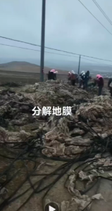 出售地膜废料，中药材上下来的，现货十挂车