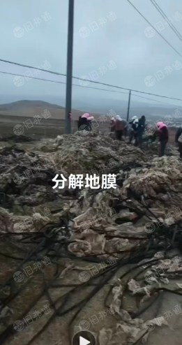 出售地膜废料，中药材上下来的，现货十挂车