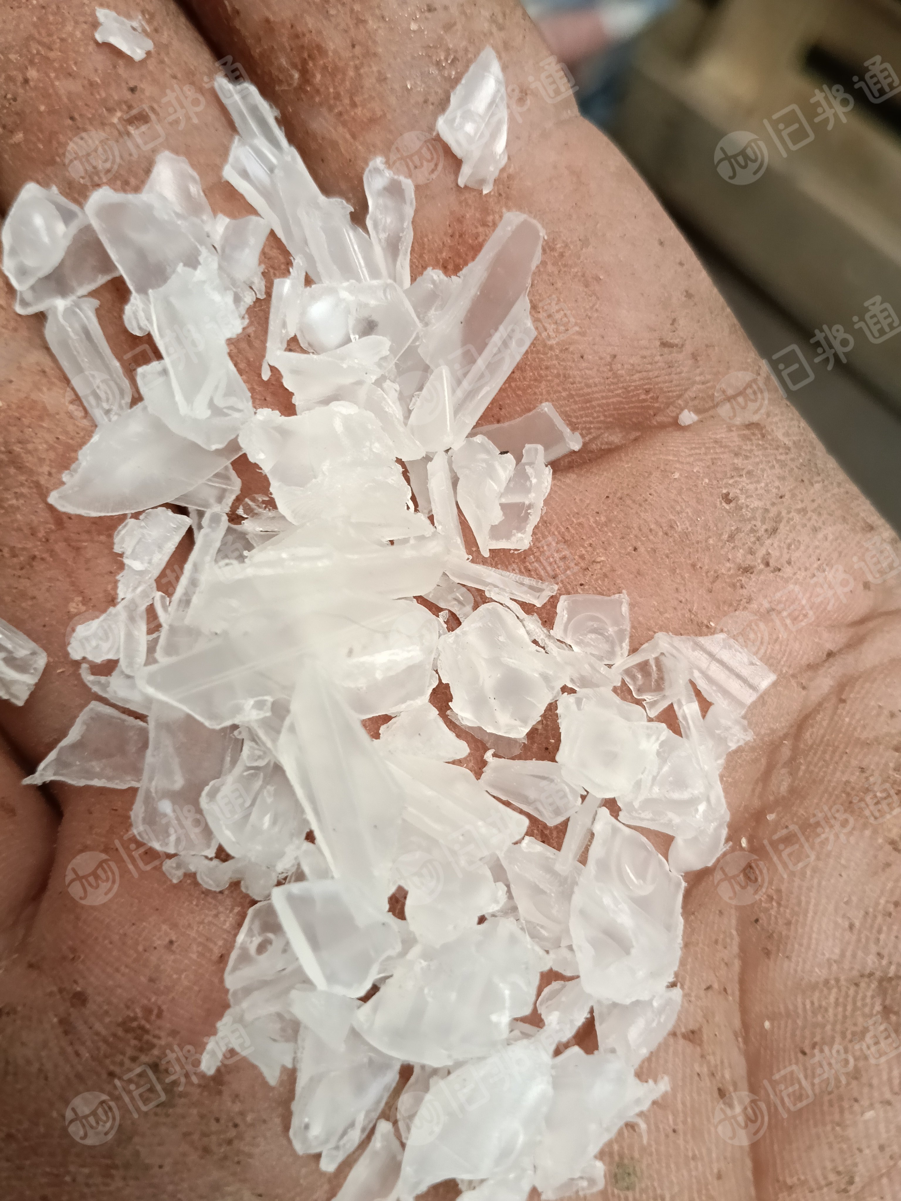 出售PP吊瓶头破碎料和颗粒，现货破碎料30吨，颗粒10吨，过100目+80目2层网