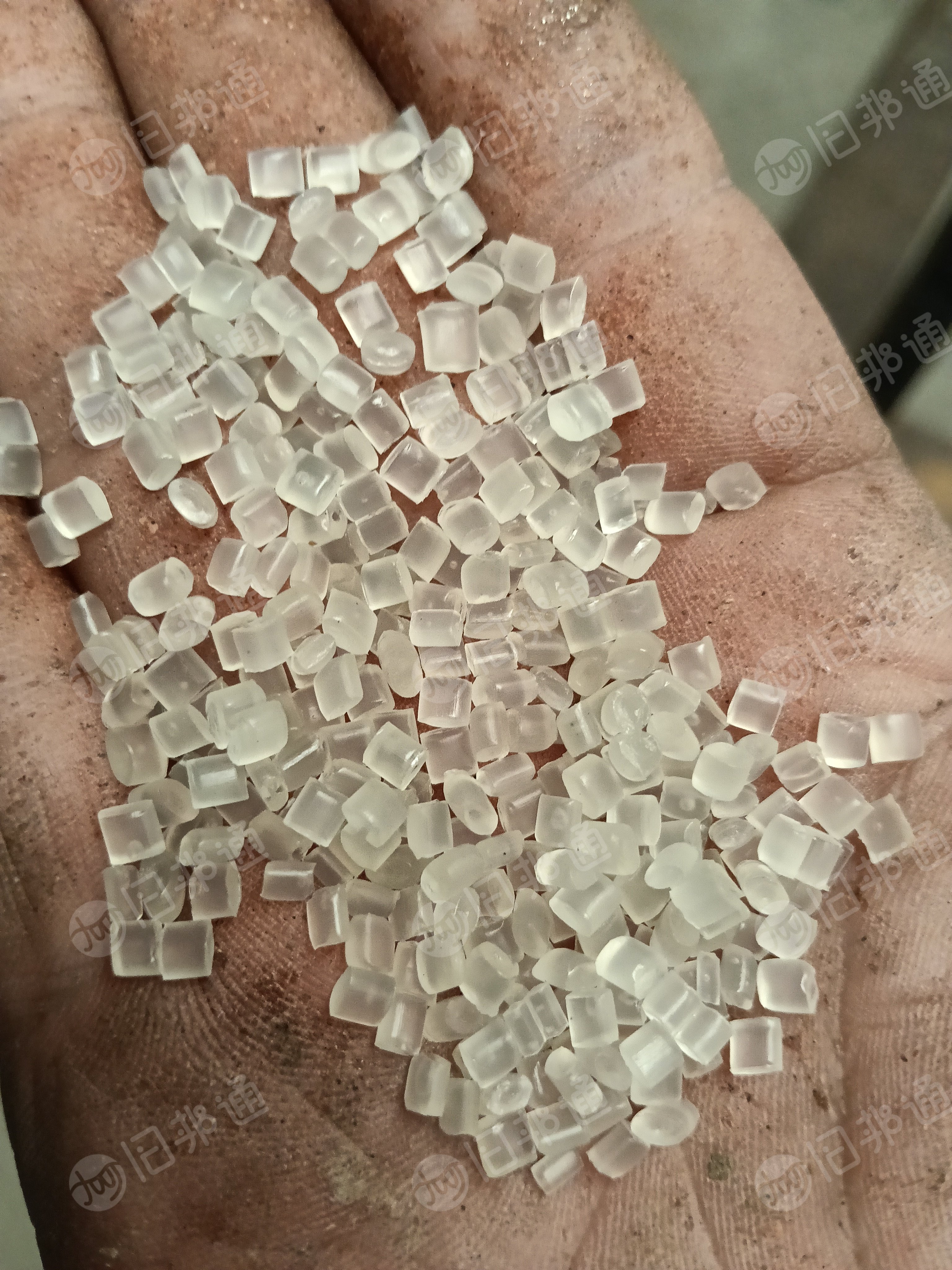 出售PP吊瓶头破碎料和颗粒，现货破碎料30吨，颗粒10吨，过100目+80目2层网