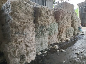 长期出售口杯纸水洗膜压包料
