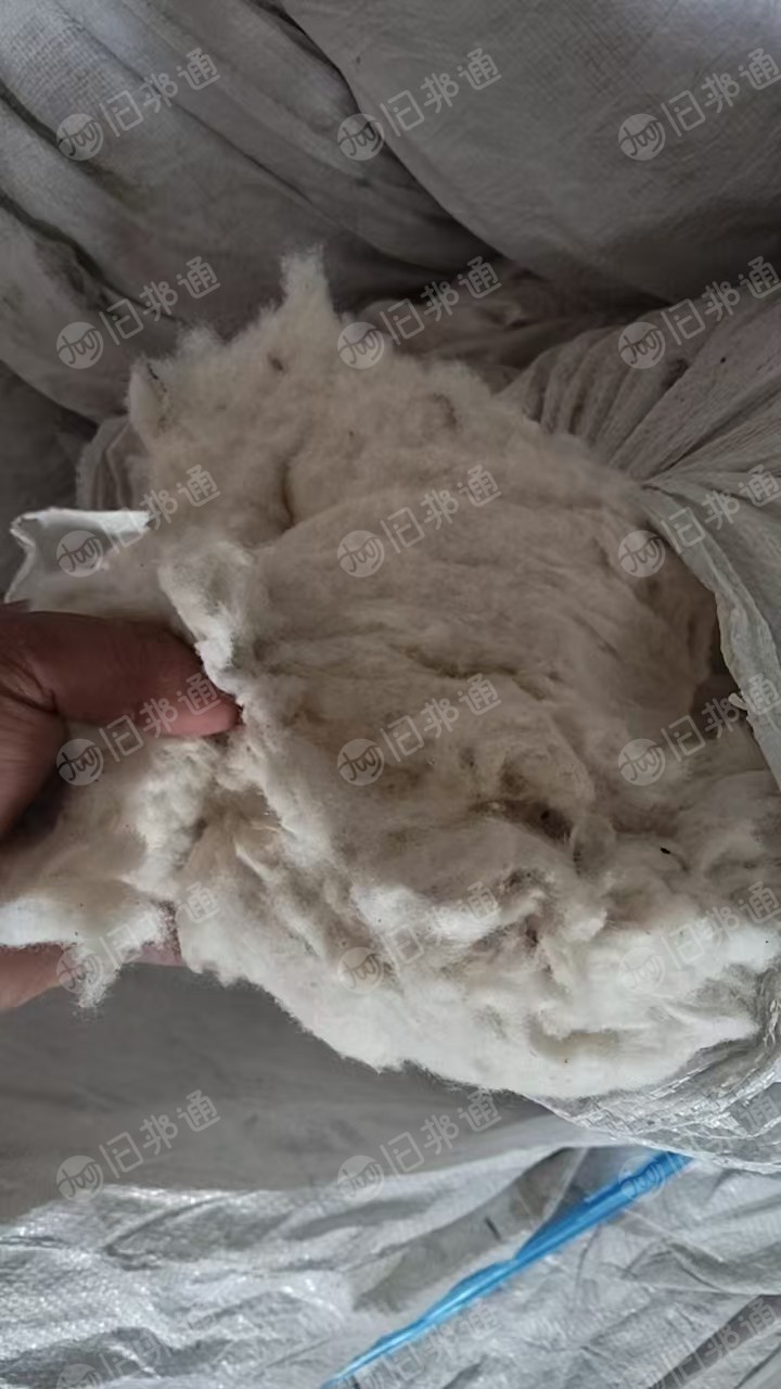 出售环锭纺下来的废棉，环锭纺设备吸尘收集下来的纺纱下脚料，全棉材质，现货有46吨