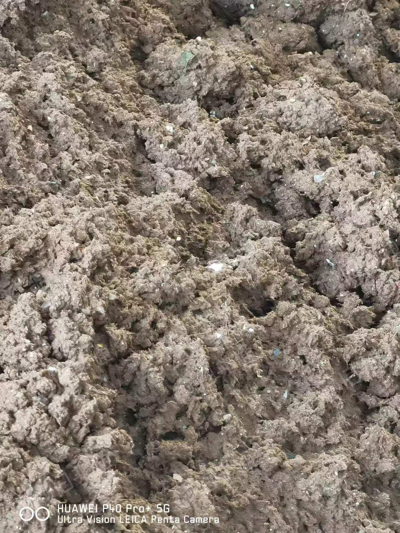 长期出售山鹰纸厂下来的尾浆